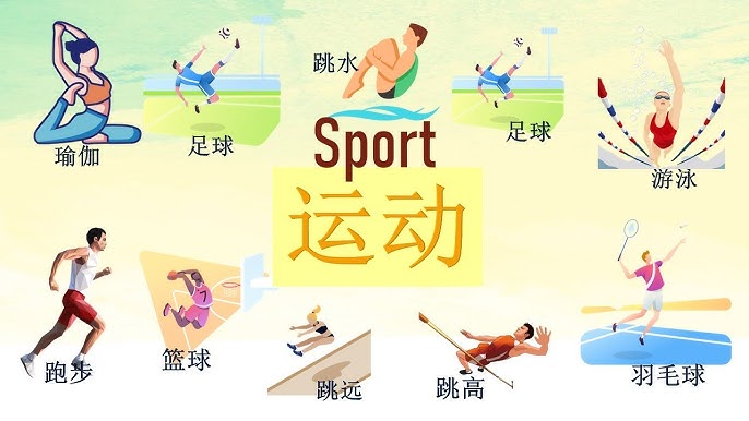 是教练